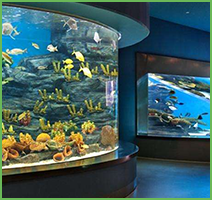 断电机房检测水族馆